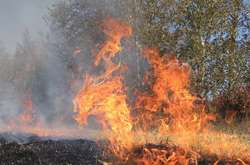 Гідрометцентр попереджає про надзвичайний рівень пожежної небезпеки