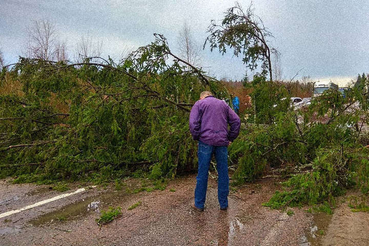 Шторм у Москві повалив сотні дерева, є загиблі і постраждалі