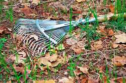 До Дня довкілля у Києві проведено понад 100 толок