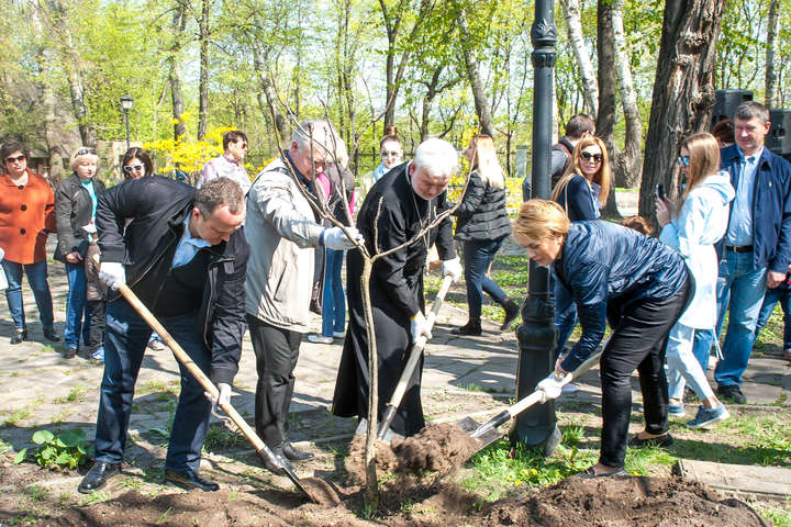 У Київському міському саду висадили Алею Миру