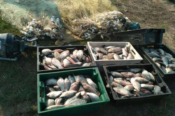 На Одещині затримали рибалку-браконьєра