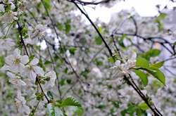 В Одесі та області оголошено штормове попередження