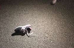 Внаслідок ДТП на Новоірпінській трасі загинув хлопець