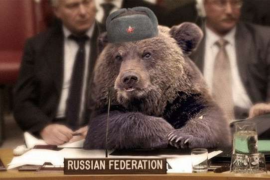 В обіймах ведмедя. Як Путін змінив відносини Росії із зовнішнім світом 