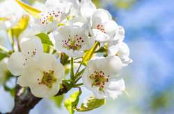 Погода в Україні: на півдні очікується до 27 градусів тепла