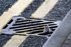 Уличные снимки датского фотографа покорили сеть