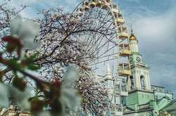 Столица в цветах: Лучшие фото весеннего Киева в Instagram