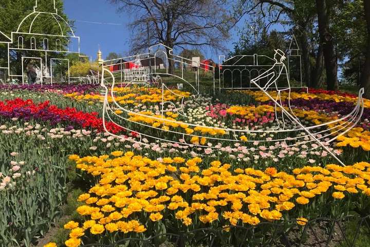 Венеція та Амстердам у Києві: у столиці відкривається вражаюча виставка тюльпанів (фото)