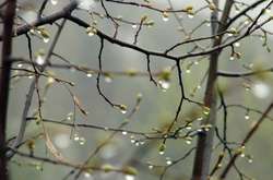 Україну накриє дощами, відчутно похолодає