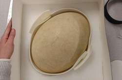 У США знайшли гігантське яйце вимерлого птаха-слона