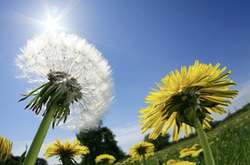 Цими вихідними в Україні буде тепло і сонячно