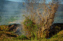 День в зоні АТО: бойовики гатять із забороненої зброї, п’ятеро військових постраждали