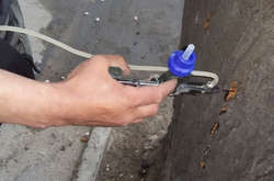 Одеським каштанам зроблять щеплення