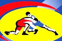 Збірна України з боротьби таки поїхала на чемпіонат Європи до Росії