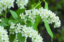 1-го травня в Україні буде тепло