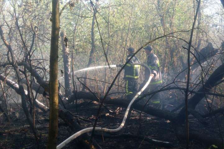 Столичні рятувальники ліквідували масштабну пожежу на Трухановому острові
