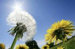 В Україні 2 травня буде спекотніше, ніж у Марокко чи Іспанії - синоптик