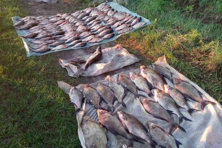 Операція «Нерест»: затримано браконьєрів із 80 кг риби
