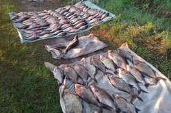 Вилучена у браконьєрів риба