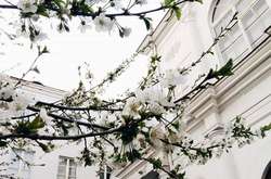 Самые яркие фото весеннего Львова в честь Дня города