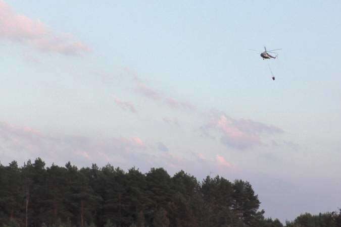 На Чернігівщині горить 20 га лісу, до гасіння залучили авіацію