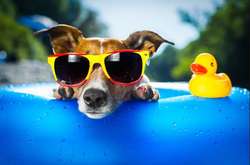 В Україні сьогодні збережеться суха і тепла погода 