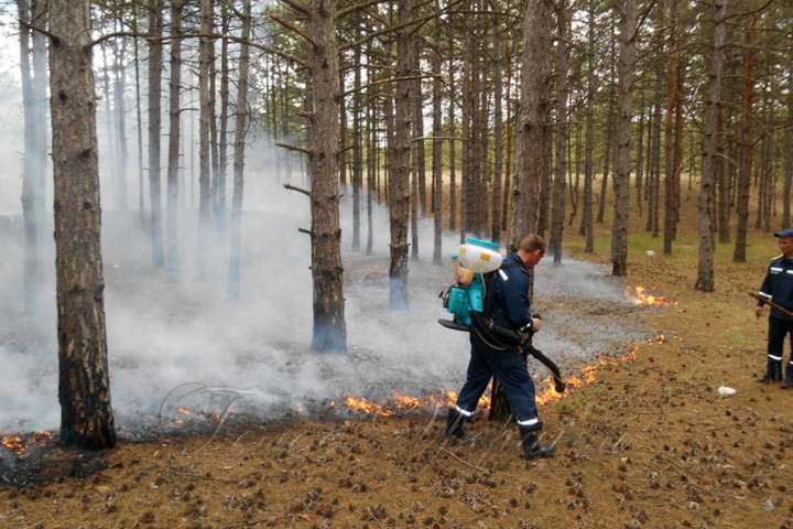 На Чернігівщині другу добу гасять пожежу у військовому лісгоспі