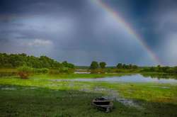 Синоптик попередила про локальні грозові дощі на вихідні 