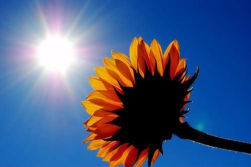 Синоптики предупредили про жаркое лето в Украине