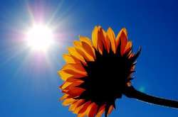 Синоптики предупредили про жаркое лето в Украине