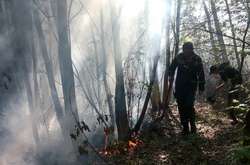 Пожежа на Трухановому острові