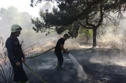 У столиці горів Труханів острів