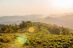 Сеть впечатлили яркие фото весенних Карпат