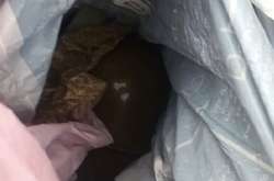 У чоловіка виявили  предмети, схожі на гранату РГД-5  