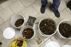 У жителя Рівненщини вилучили 25 кілограмів бурштину