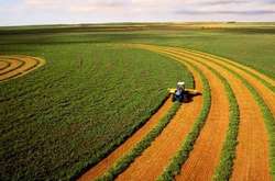 Украина - чемпион по глупости