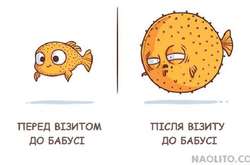 «До» и «После»: иллюстратор высмеял житейские обычаи