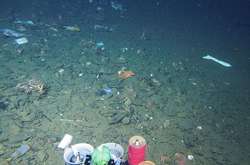 Дно Марианской впадины завалено мусором