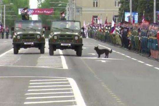 СБУ перевірить ЗМІ, які транслювали «військовий парад» з Донецька