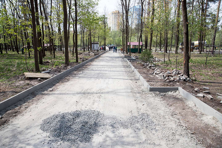 Фірми, створені одними юристами, розіграли 45 млн грн на ремонт київського парку