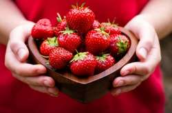 Фестиваль полунички проведуть в Південній Пальмірі