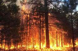 Синоптики предупредили о чрезвычайном уровне пожарной опасности