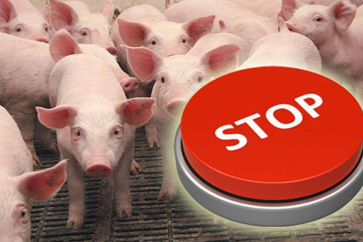 На Вінниччині зареєстровано випадок африканської чуми свиней