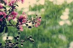 На вихідні в Україні буде дощити