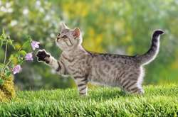 Завтра в Україні потеплішає