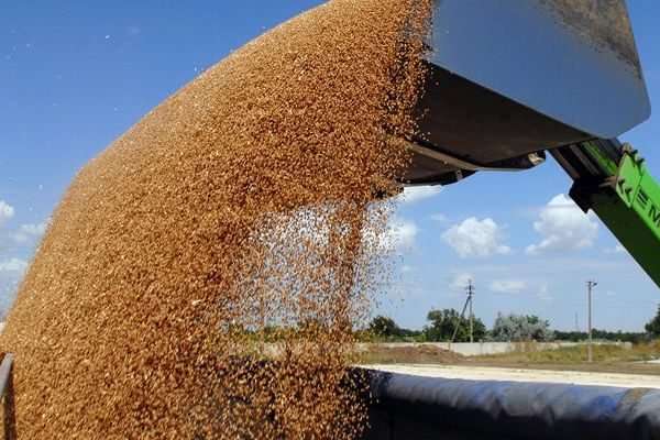Україна вже відправила на експорт понад 35 млн тонн зернових