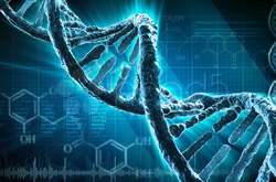 Стартап для редагування генома людини Beam Therapeutics залучив $87 млн