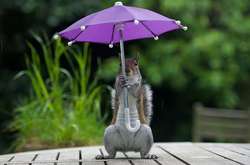 В Україні буде тепло, але місцями пройдуть грозові дощі 