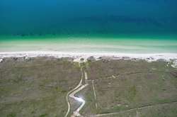  Кинбурнская коса   