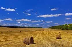 Українські синоптики очікують цього року ранню осінь 